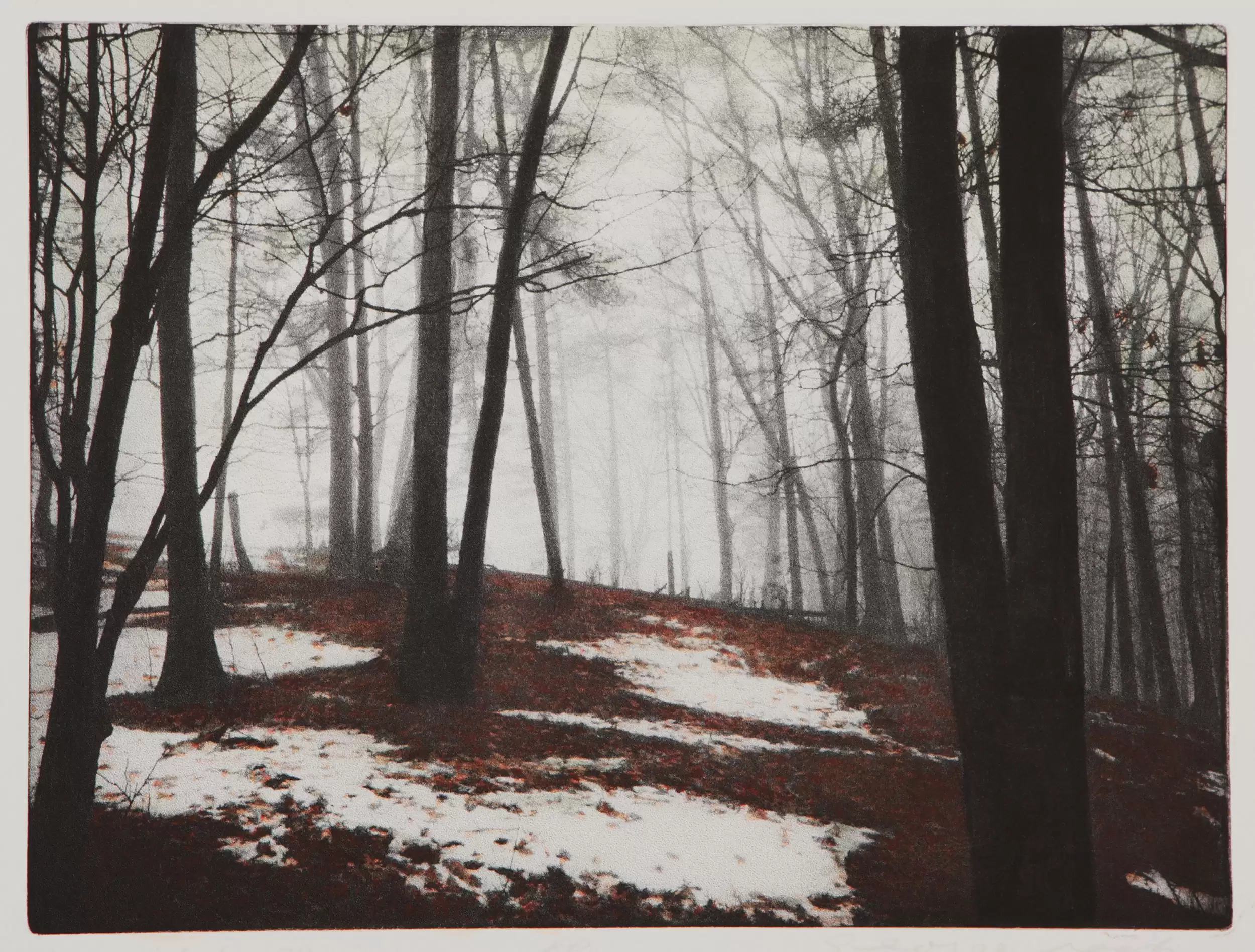 Into the Woods: Etchings by George Raab