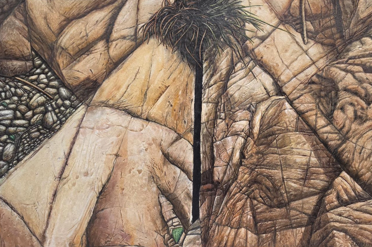 Fault Lines | works from the Permanent Collection